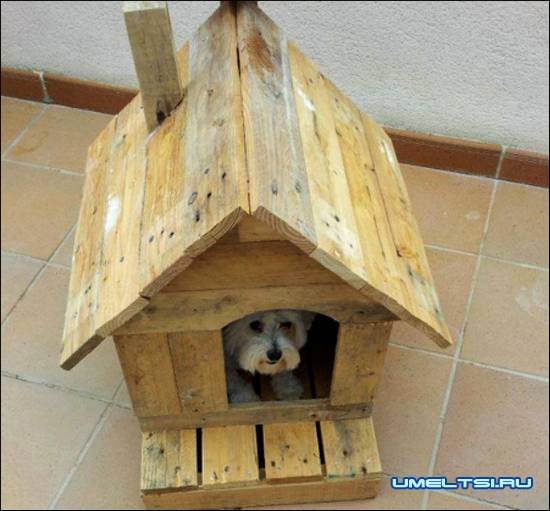 конура длиз поддонов своими руками конура длиз поддонов своими руками