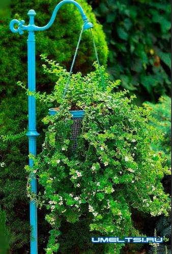 вазон для сада вазон для сада