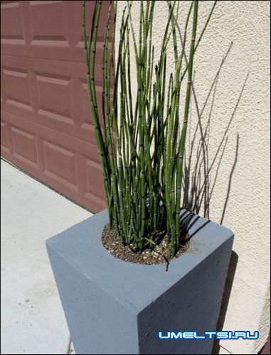 Бетонные вазоны для цветов-фото Бетонные вазоны для цветов-фото