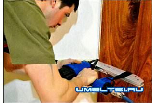 Дерево в интерьере