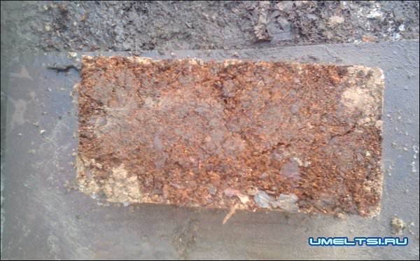 Арболит: технология изготовления Арболит: технология изготовления