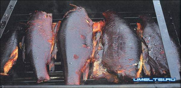 мангал-коптильня чертежи мангал-коптильня чертежи