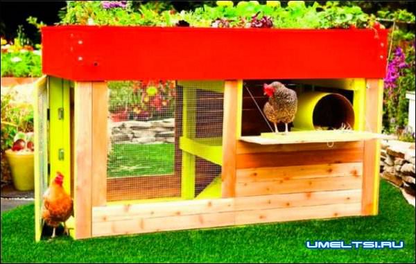 Переносной курятник-фото Переносной курятник-фото