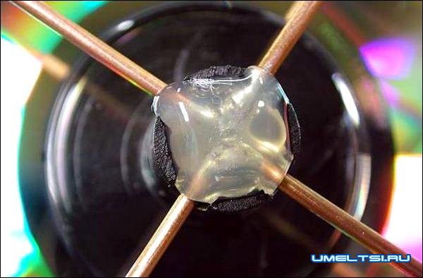 Wi-Fi антенна Wi-Fi антенна