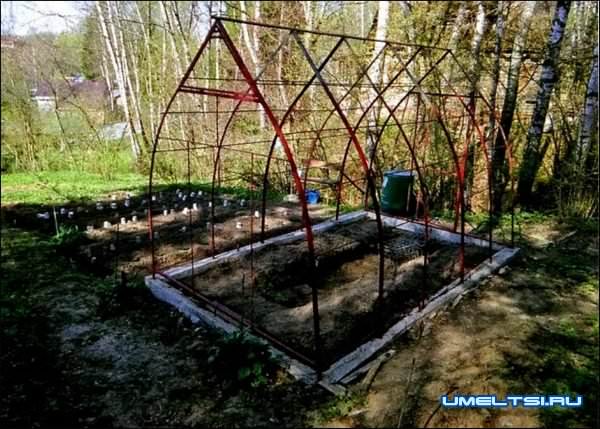 капитальная теплица своими руками