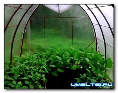 капитальная теплица