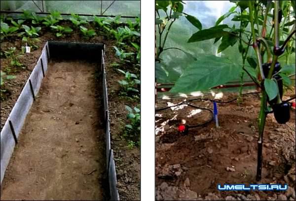 капитальная теплица своими руками