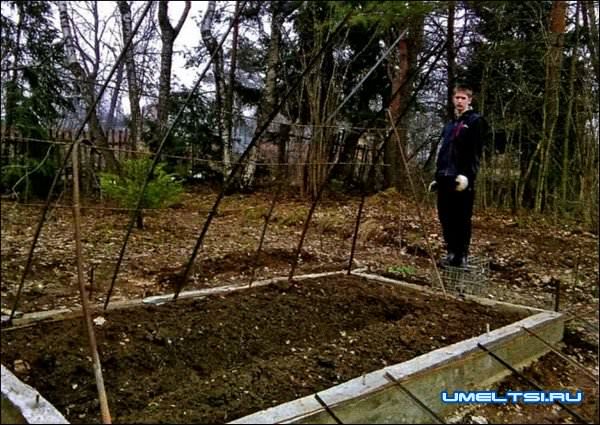 капитальная теплица своими руками