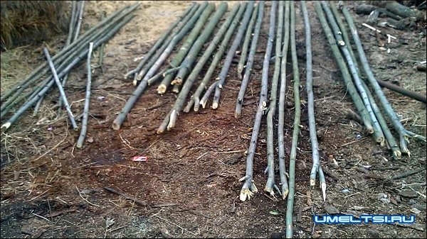 сделать парник своими руками