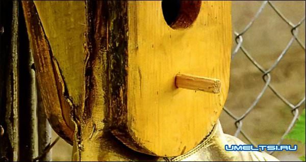 Домик для птиц Домик для птиц