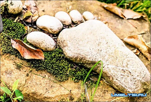 украсить сад камнями украсить сад камнями