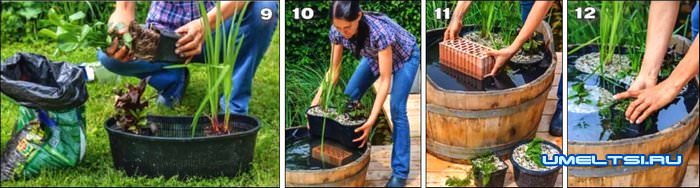 Мини-пруд своими руками Мини-пруд своими руками