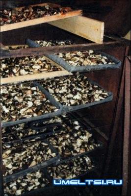 Самодельная электросушилка