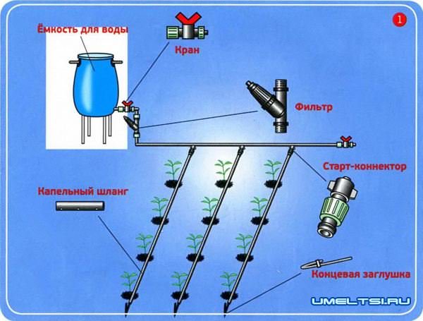 полив на садовом участке полив на садовом участке
