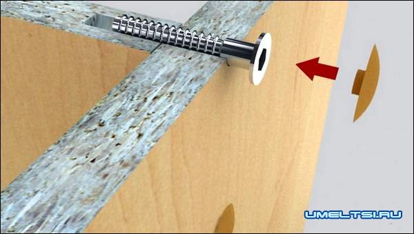 конфирмата конфирмата