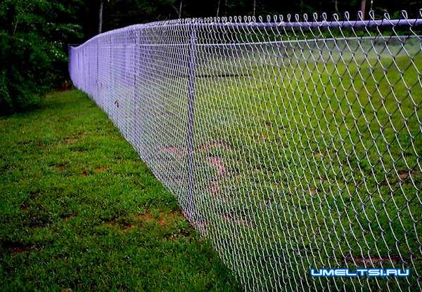 Заборы из сетки рабица Заборы из сетки рабица