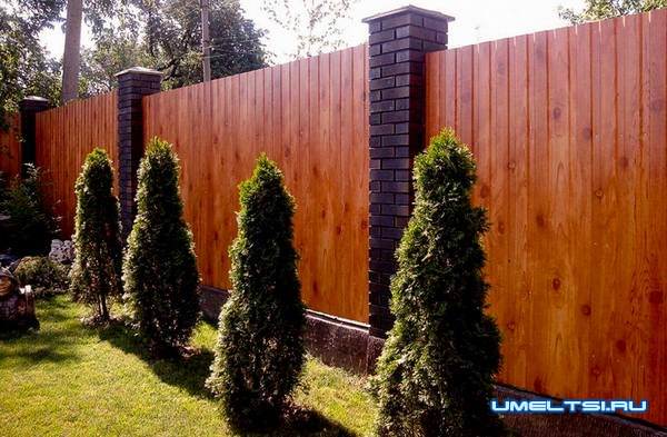 забор из профнастила забор из профнастила