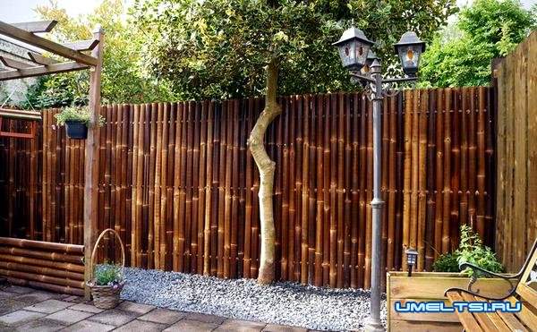 Оригинальный забор: фото 7 Оригинальный забор: фото 7