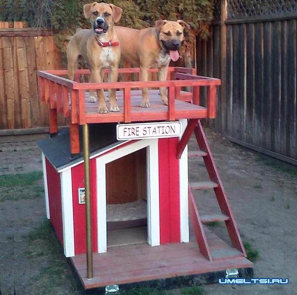 Новоселам очень понравилась идея