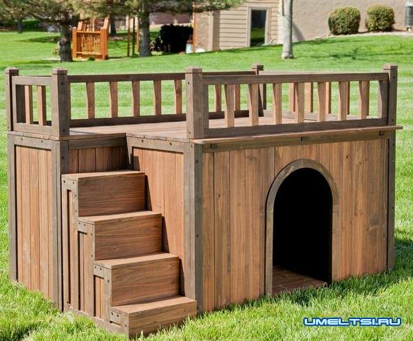 Примеры собачьей будки с площадкой на крыше