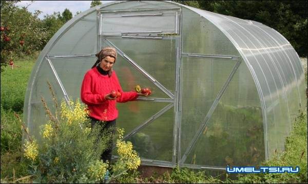 теплица из поликарбоната