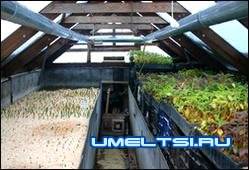 Зимний вариант теплицы