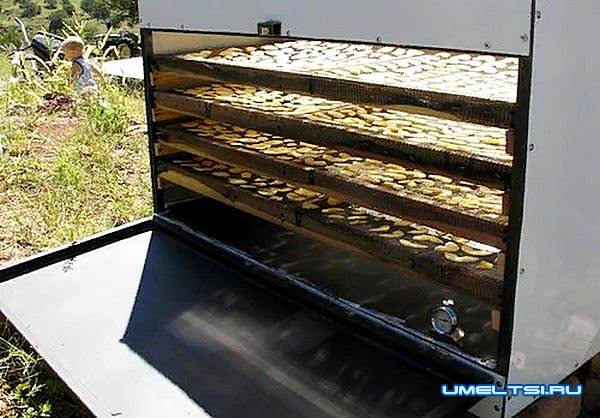 сушилка для овощей и фруктов своими руками