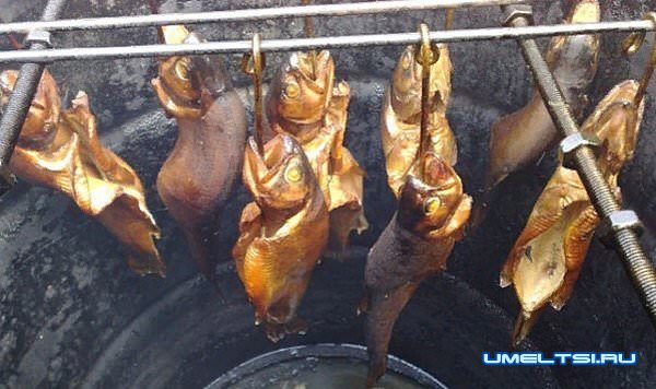 Кирпичная барбекю–коптильня своими руками-фото Кирпичная барбекю–коптильня своими руками-фото