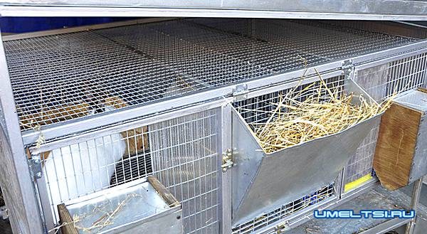 Готовые клетки из сетки для кроликов Готовые клетки из сетки для кроликов