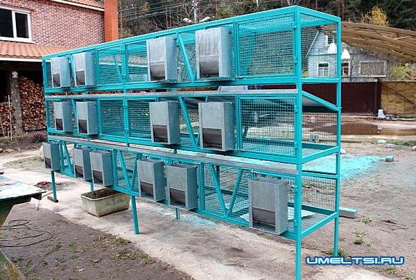 Готовые клетки из сетки для кроликов Готовые клетки из сетки для кроликов