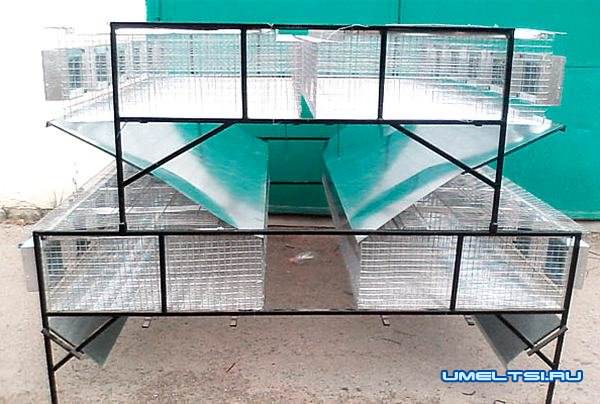 Готовые клетки из сетки для кроликов Готовые клетки из сетки для кроликов