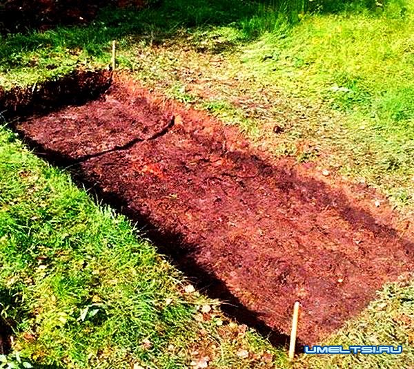 Строительство универсальной коптильни Строительство универсальной коптильни