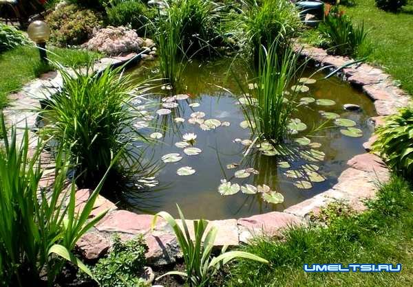украшаем пруд украшаем пруд