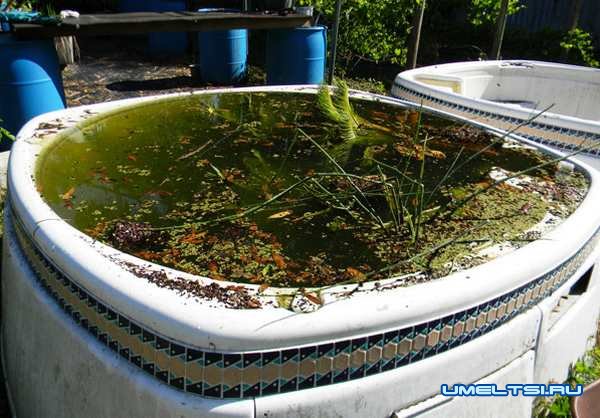 Приподнятый пруд своими руками Приподнятый пруд своими руками