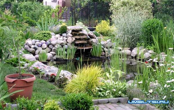 где размещать искусственный водоем где размещать искусственный водоем