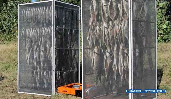 Сушилка для рыбы своими руками: фото Сушилка для рыбы своими руками: фото