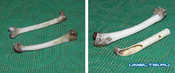 Манок из кости Манок из кости