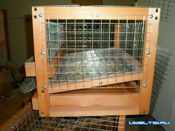 изготовлению клеток для перепелов изготовлению клеток для перепелов