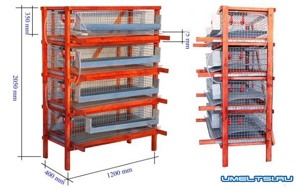 изготовления универсальных клеток для перепелов изготовления универсальных клеток для перепелов