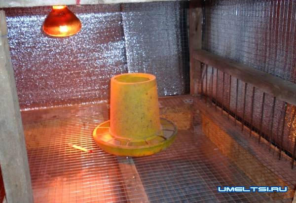 Как сделать клетки для бройлеров-ход работ