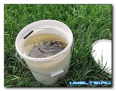 Как сохранить живца жарким летом – простое решение