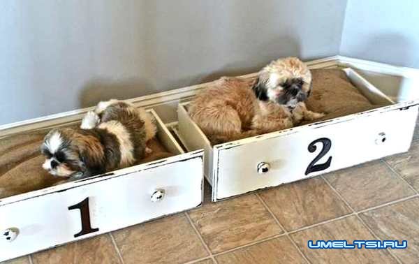 Кровать для собаки-фото Кровать для собаки-фото