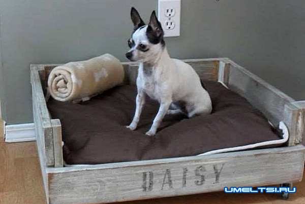 Кровать для собаки-фото Кровать для собаки-фото