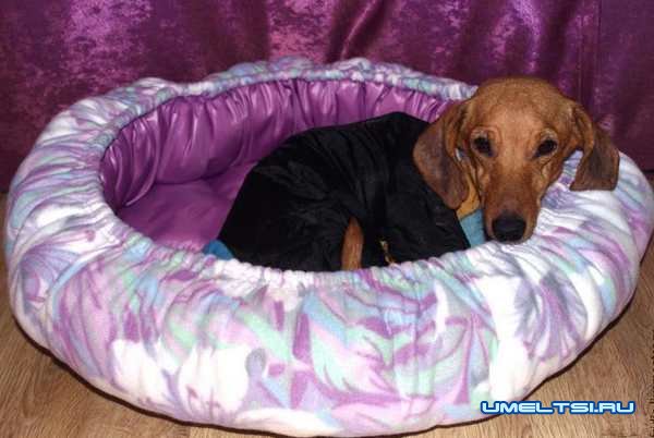 Как сделать лежанку для собаки Как сделать лежанку для собаки