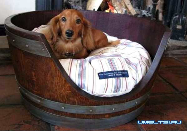Кровать для собаки-фото Кровать для собаки-фото