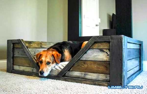 Кровать для собаки-фото Кровать для собаки-фото