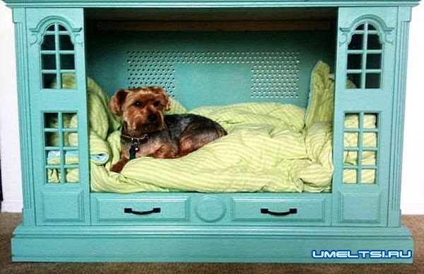 Кровать для собаки-фото Кровать для собаки-фото