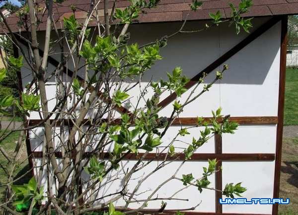 Пошаговое описание строительства домика для детей своими руками Пошаговое описание строительства домика для детей своими руками