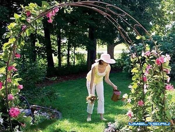 Арка для плетистой розы своими руками