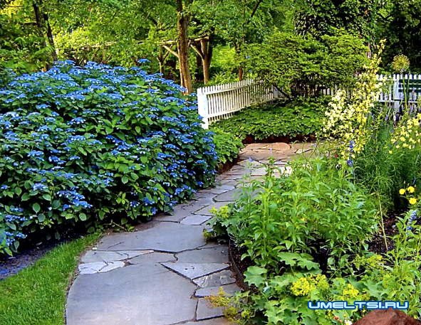 Из чего лучше сделать садовые дорожки